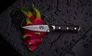 Regalia Knives™ Emperor Series 3.5 inch Paring Knife: Japanese AUS10V 67 Layers Damascus Steel